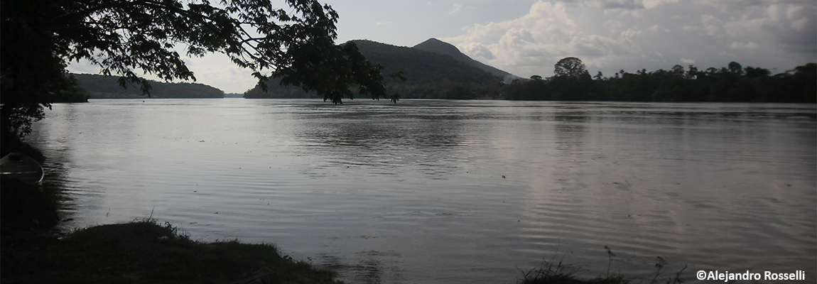 imagenes rgoasda.jpg